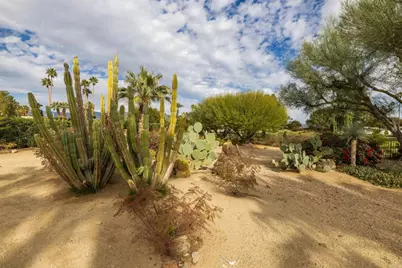 1511 De Anza Drive, Borrego Springs, CA 92004 - Photo 40