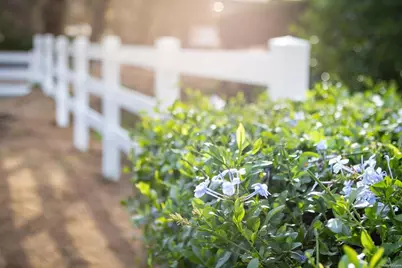 1505 Highgrove Drive, Escondido, CA 92027 - Photo 34