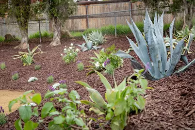 1505 Highgrove Drive, Escondido, CA 92027 - Photo 28