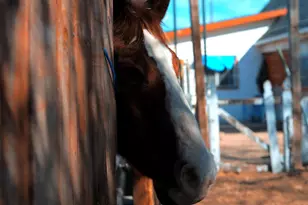 41945 Apple Rd, Anza, CA 92539 - Photo 2