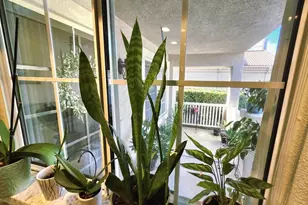 23800 Corte Picante, Murrieta, CA 92562 - Photo 4