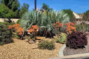 23800 Corte Picante, Murrieta, CA 92562 - Photo 44