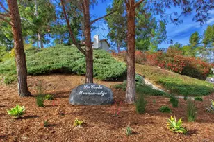 6561 Corte Cisco, Carlsbad, CA 92009 - Photo 46