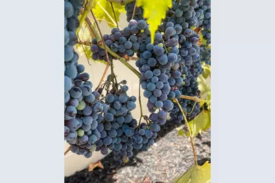 45721 Middle Gate Court, Temecula, CA 92592 - Photo 22