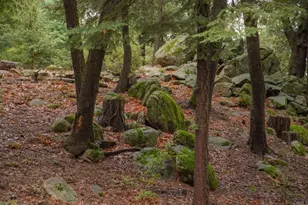 22234 Crestline Rd, Palomar Mountain, CA 92060 - Photo 8