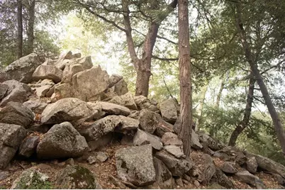 22234 Crestline Road, Palomar Mountain, CA 92060 - Photo 38