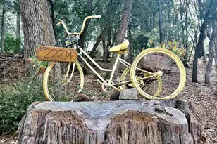 22234 Crestline Rd, Palomar Mountain, CA 92060 - Photo 52