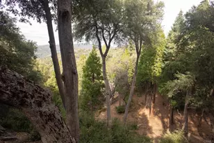 22234 Crestline Rd, Palomar Mountain, CA 92060 - Photo 40