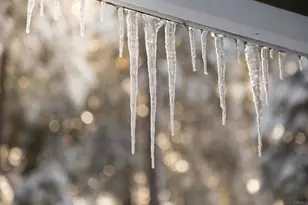 22234 Crestline Rd, Palomar Mountain, CA 92060 - Photo 56