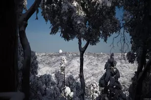 22234 Crestline Rd, Palomar Mountain, CA 92060 - Photo 38