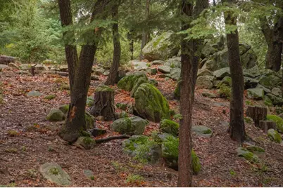 22234 Crestline Road, Palomar Mountain, CA 92060 - Photo 4