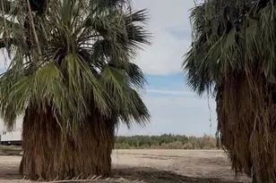 2310 W Hwy 86 Rd, Brawley, CA 92227 - Photo 28