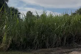 2310 W Hwy 86 Rd, Brawley, CA 92227 - Photo 26