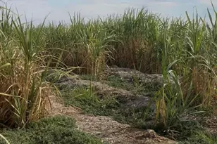 2310 W Hwy 86 Rd, Brawley, CA 92227 - Photo 26