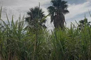 2310 W Hwy 86 Rd, Brawley, CA 92227 - Photo 22