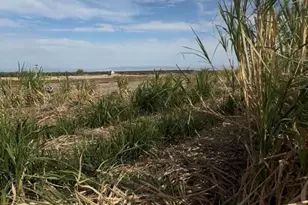 2310 W Hwy 86 Rd, Brawley, CA 92227 - Photo 20