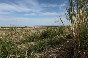 2310 W Hwy 86 Rd, Brawley, CA 92227 - Photo 4