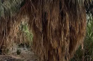 2310 W Hwy 86 Rd, Brawley, CA 92227 - Photo 30