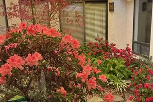 26500 Rim Rd, Hemet, CA 92544 - Photo 16