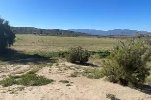 40254 Reed Valley Rd, Aguanga, CA 92536 - Photo 38