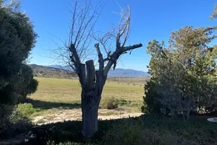 40254 Reed Valley Rd, Aguanga, CA 92536 - Photo 6