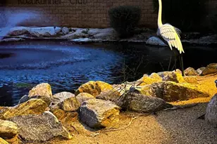 1010 Palm Canyon Dr, Borrego Springs, CA 92004 - Photo 2