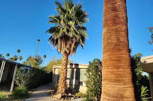1010 Palm Canyon Dr, Borrego Springs, CA 92004 - Photo 14