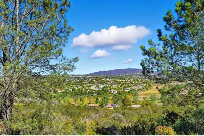 1776 Avenida La Posta, Encinitas, CA 92024 - Photo 42