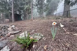 22258 Crestline Rd, Palomar Mountain, CA 92060 - Photo 46