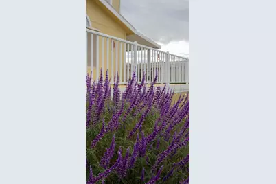 35109 Hwy 79 #91, Warner Springs, CA 92086 - Photo 44