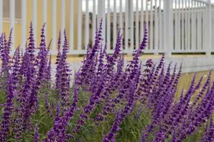 35109 Hwy 79, Warner Springs, CA 92086 - Photo 44