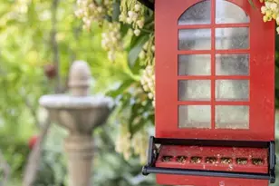 35109 Hwy 79, Warner Springs, CA 92086 - Photo 40