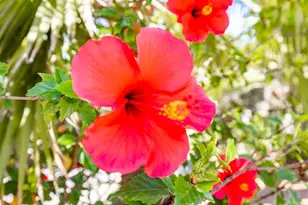 224 Astro Ct, Vista, CA 92083 - Photo 44