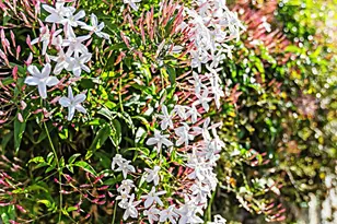 3743 Rosemary Way, Oceanside, CA 92057 - Photo 4