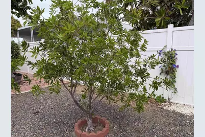 200 N El Camino Real #150, Oceanside, CA 92058 - Photo 48