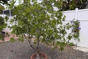 200 N El Camino Real, Oceanside, CA 92058 - Photo 48