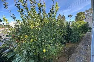 525 W El Norte Pkwy, Escondido, CA 92026 - Photo 26