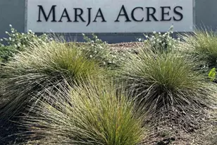 2523 Delphinium Ln, Carlsbad, CA 92008 - Photo 8