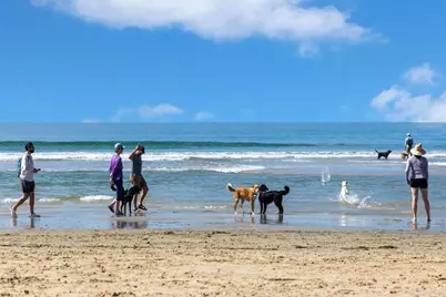 2523 Delphinium Lane, Carlsbad, CA 92008 - Photo 28