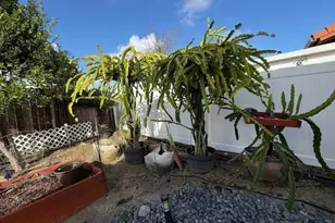 10434 Cheviot Ct, San Diego, CA 92126 - Photo 14