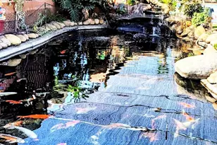 6951 W Lilac Rd, Bonsall, CA 92003 - Photo 38