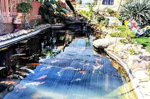 6951 W Lilac Rd, Bonsall, CA 92003 - Photo 36