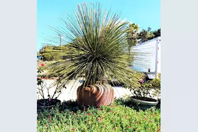 6951 W Lilac Road, Bonsall, CA 92003 - Photo 60