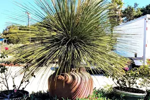 6951 W Lilac Rd, Bonsall, CA 92003 - Photo 60