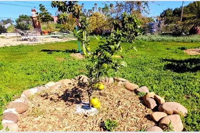 6951 W Lilac Road, Bonsall, CA 92003 - Photo 58