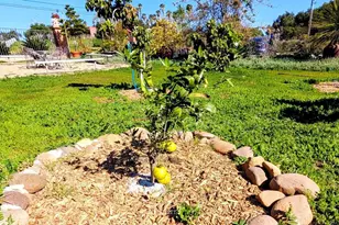 6951 W Lilac Rd, Bonsall, CA 92003 - Photo 58