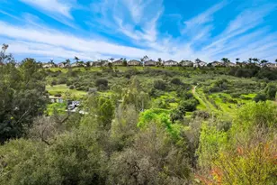 12204 Pepper Tree Ln, Poway, CA 92064 - Photo 38