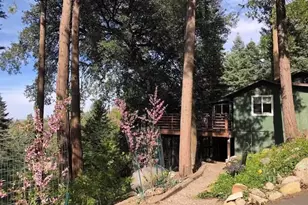 22136 Crestline Rd, Palomar Mountain, CA 92060 - Photo 2