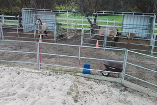 2092 Tudor Ln, Fallbrook, CA 92028 - Photo 8