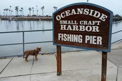 1202 N Pacifice Street #209B, Oceanside, CA 92054 - Photo 22